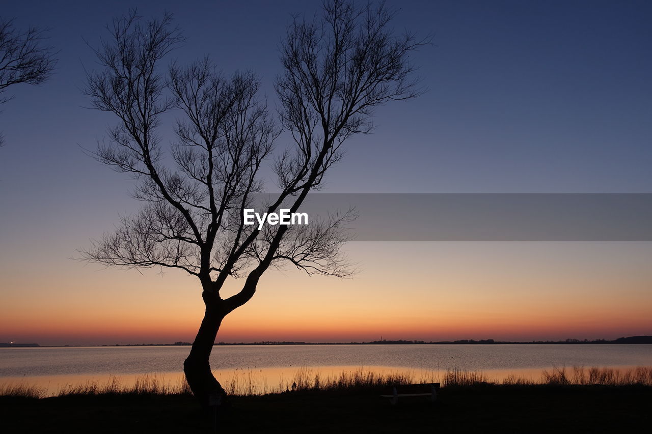 Silhouette bare tree by lake against sky during sunset