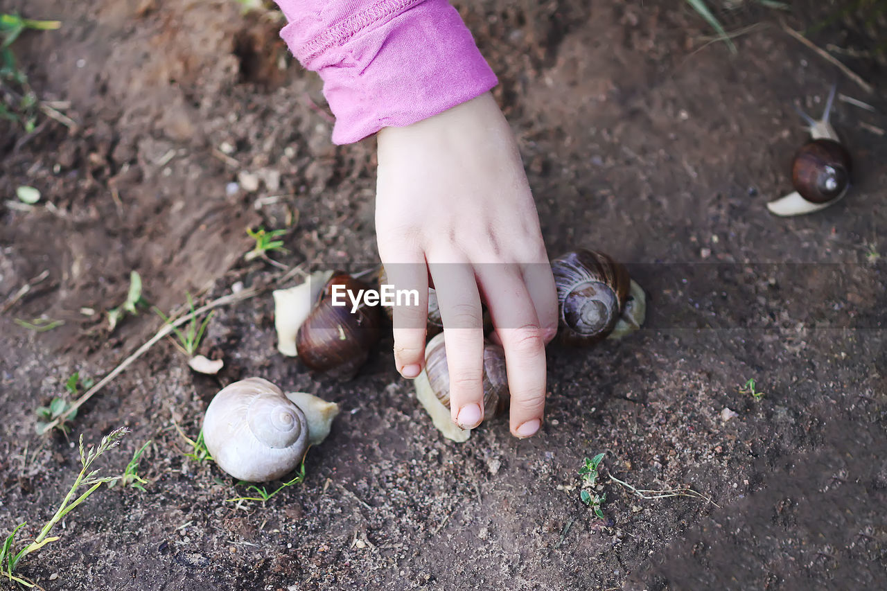 HIGH ANGLE VIEW OF CHILD ON HAND