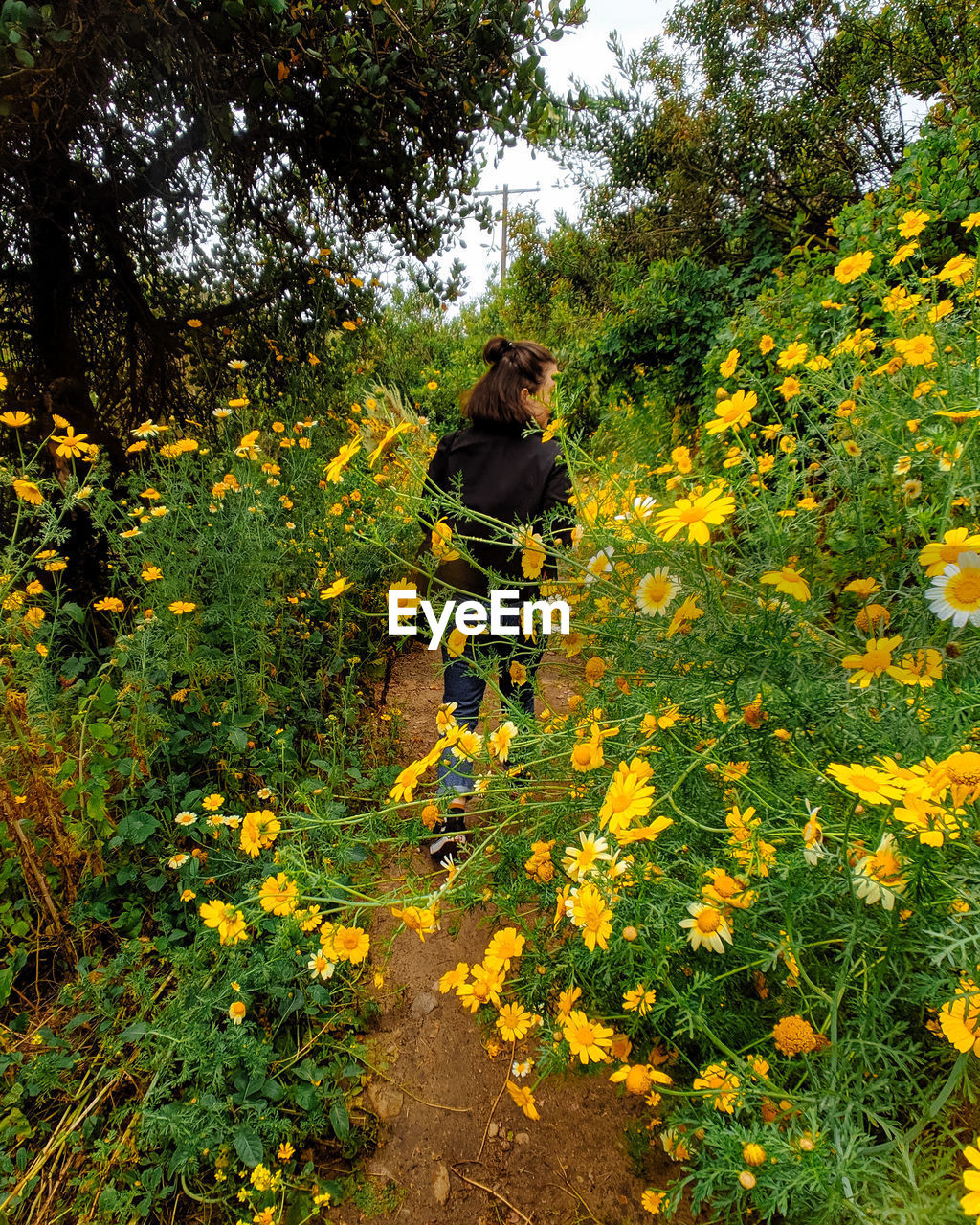 Woman walking by flowering plants