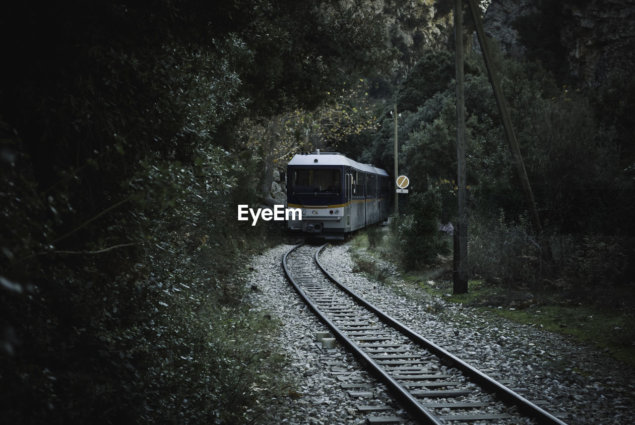 TRAIN BY RAILROAD TRACKS IN FOREST