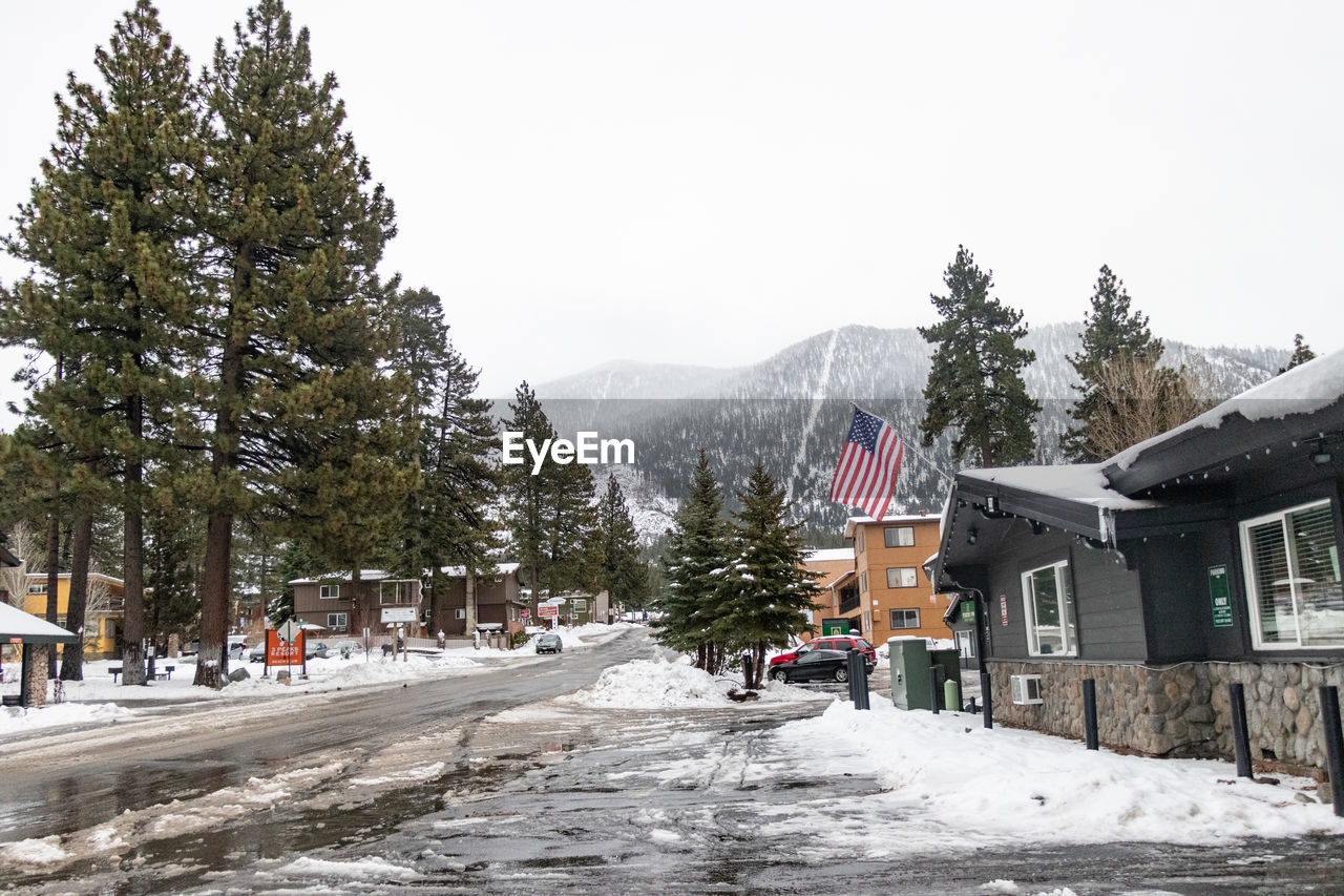 ROAD AMIDST TREES AND BUILDINGS AGAINST SKY DURING WINTER