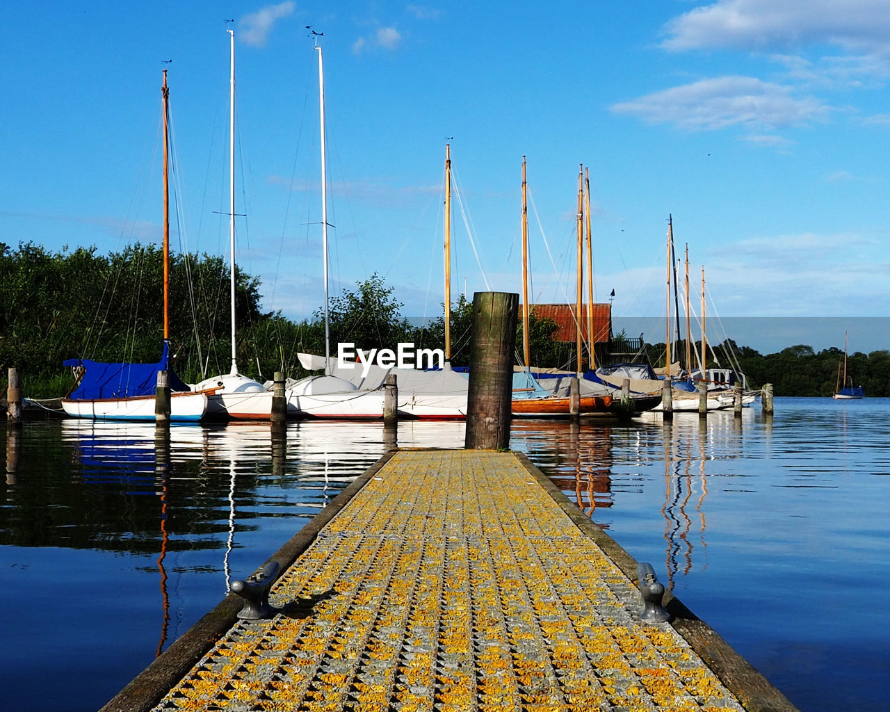 BOATS MOORED AT HARBOR
