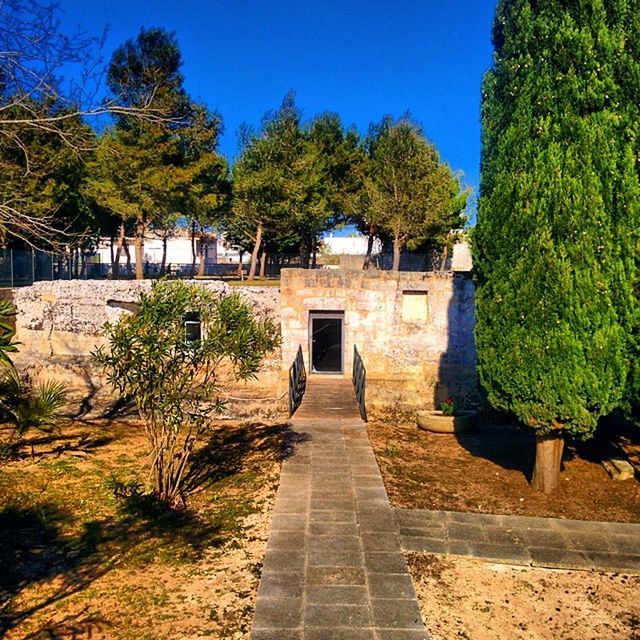 WALKWAY LEADING TO BUILDING