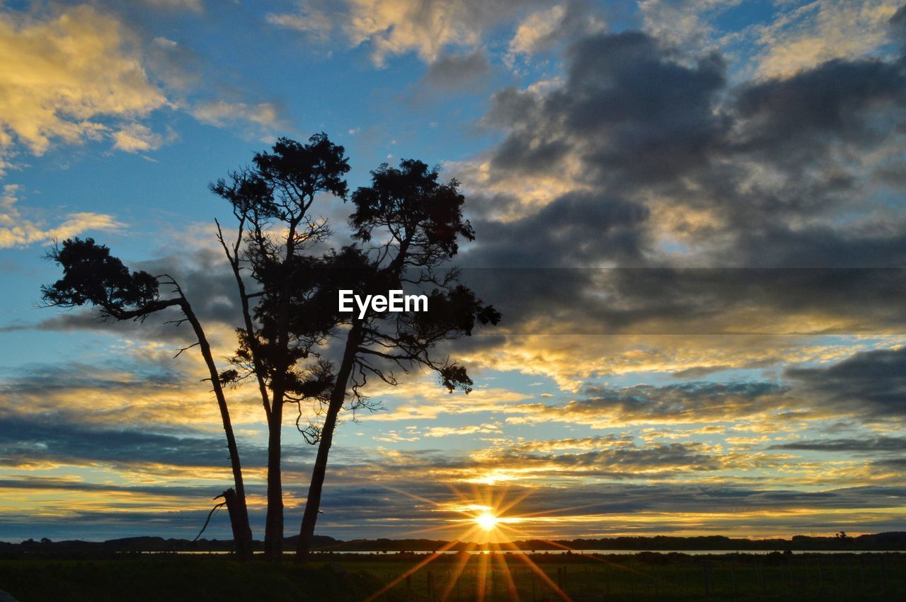 SILHOUETTE TREES ON LANDSCAPE AGAINST SKY AT SUNSET