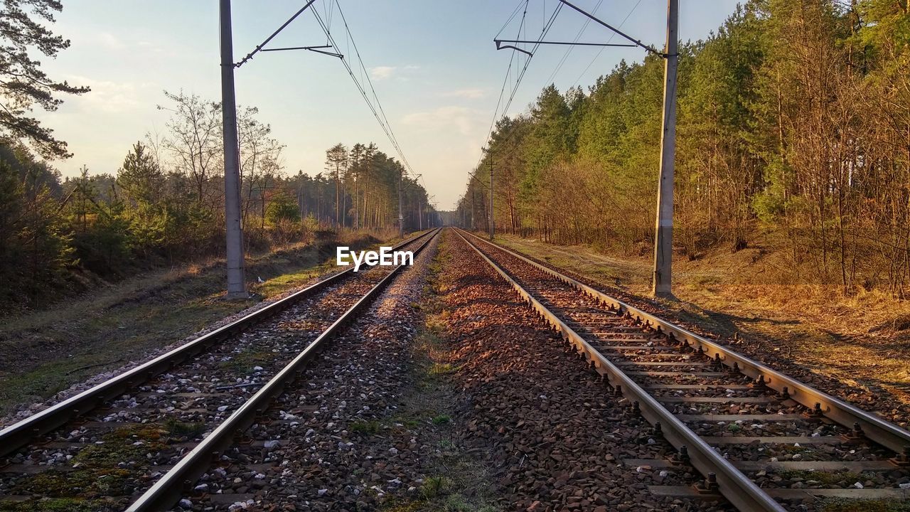 Railway tracks amidst trees against sky