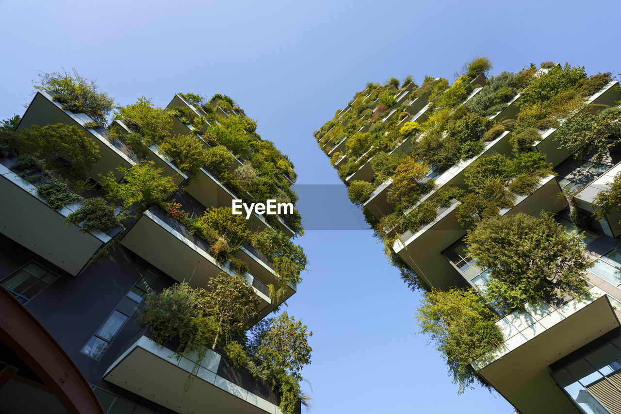 LOW ANGLE VIEW OF TREE AGAINST BUILDING