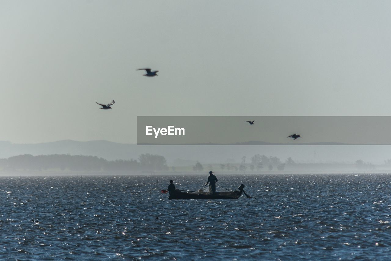 SILHOUETTE BIRDS FLYING OVER SEA