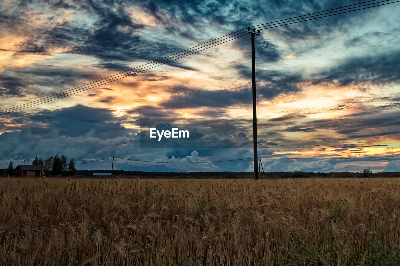 SCENIC VIEW OF FIELD AGAINST SKY DURING SUNSET