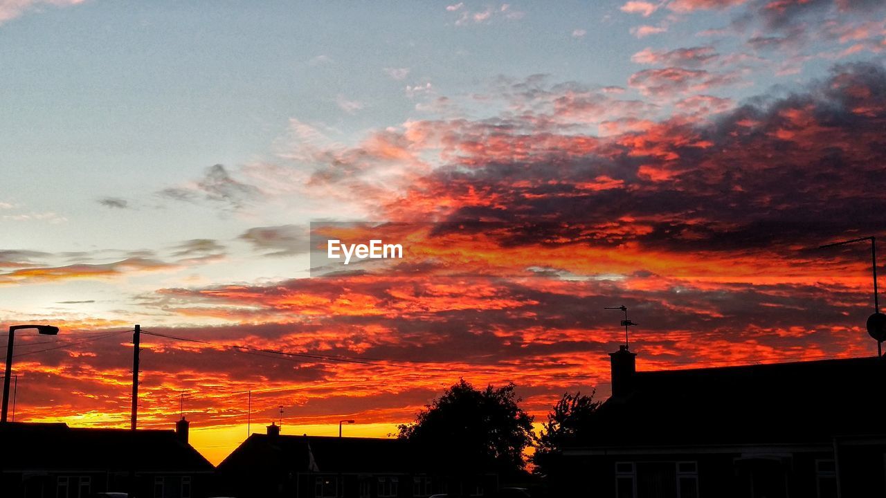 LOW ANGLE VIEW OF SILHOUETTE TREES AGAINST SKY DURING SUNSET