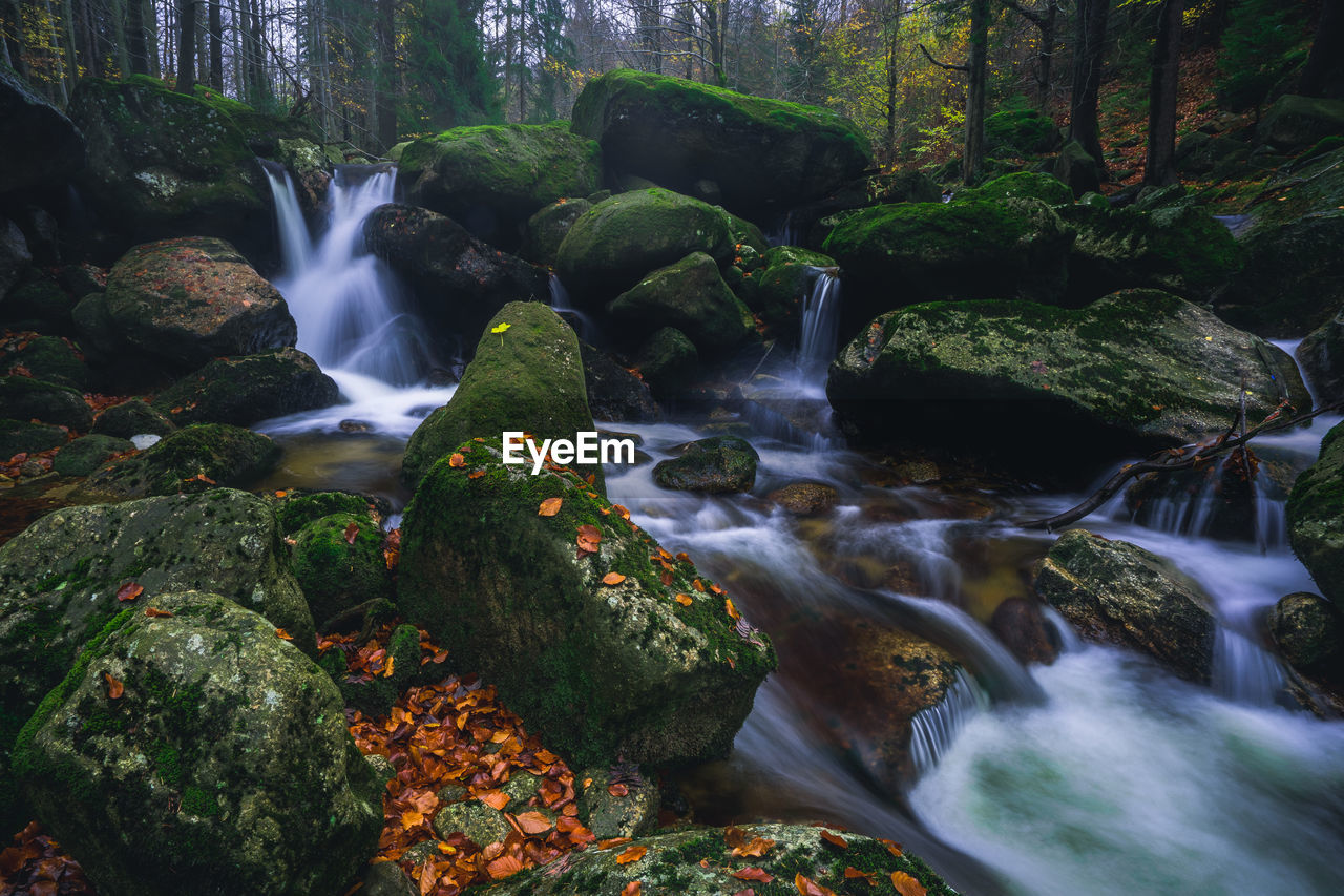 WATERFALL IN FOREST