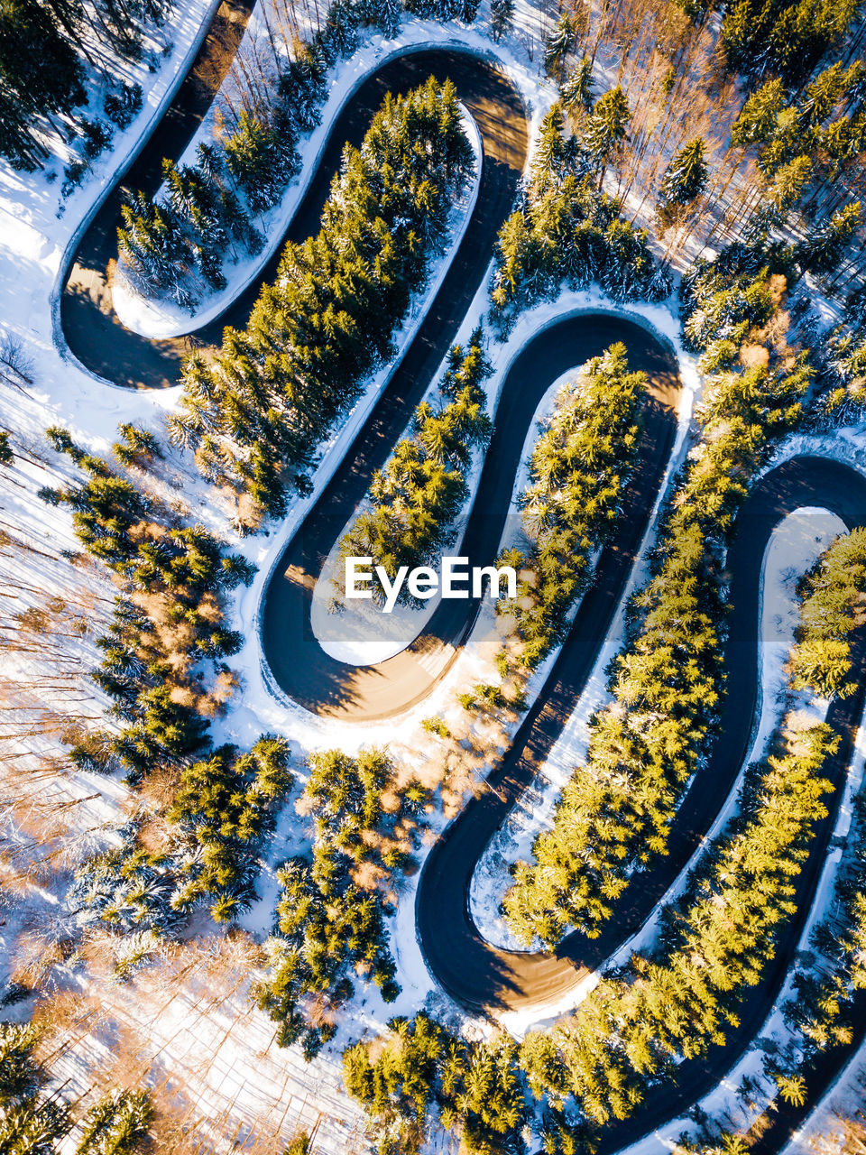 Aerial view of road amidst tree during winter