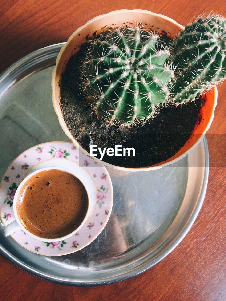 HIGH ANGLE VIEW OF COFFEE CUP AND CACTUS