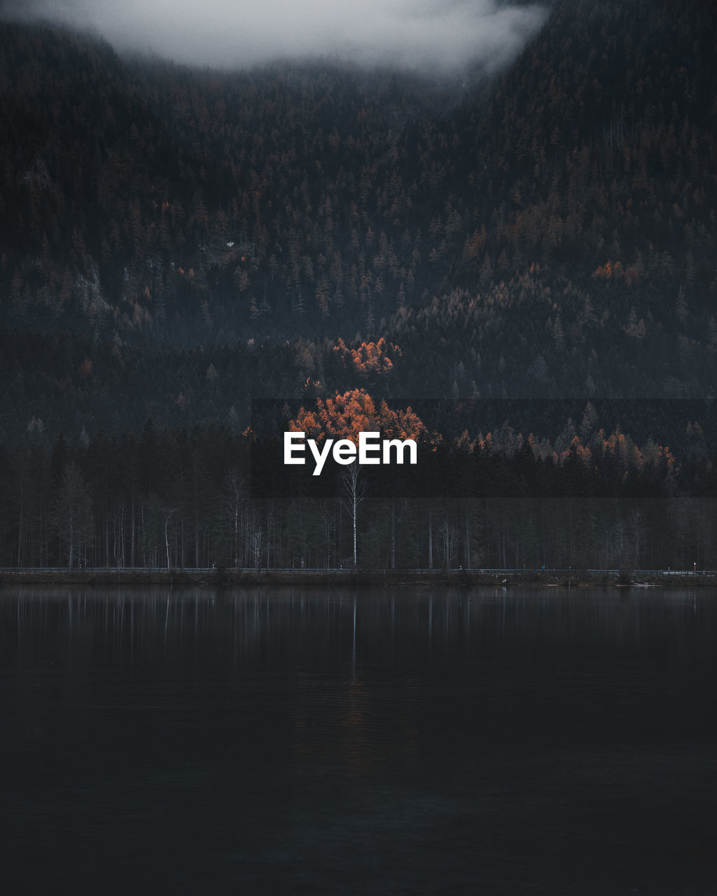 Scenic view of lake by trees at dusk