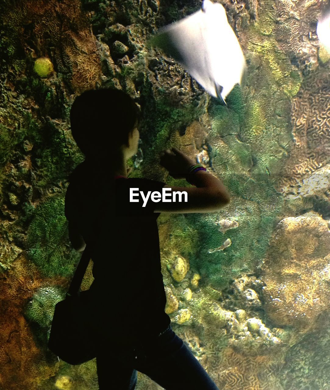 Girl looking at sting ray in aquarium
