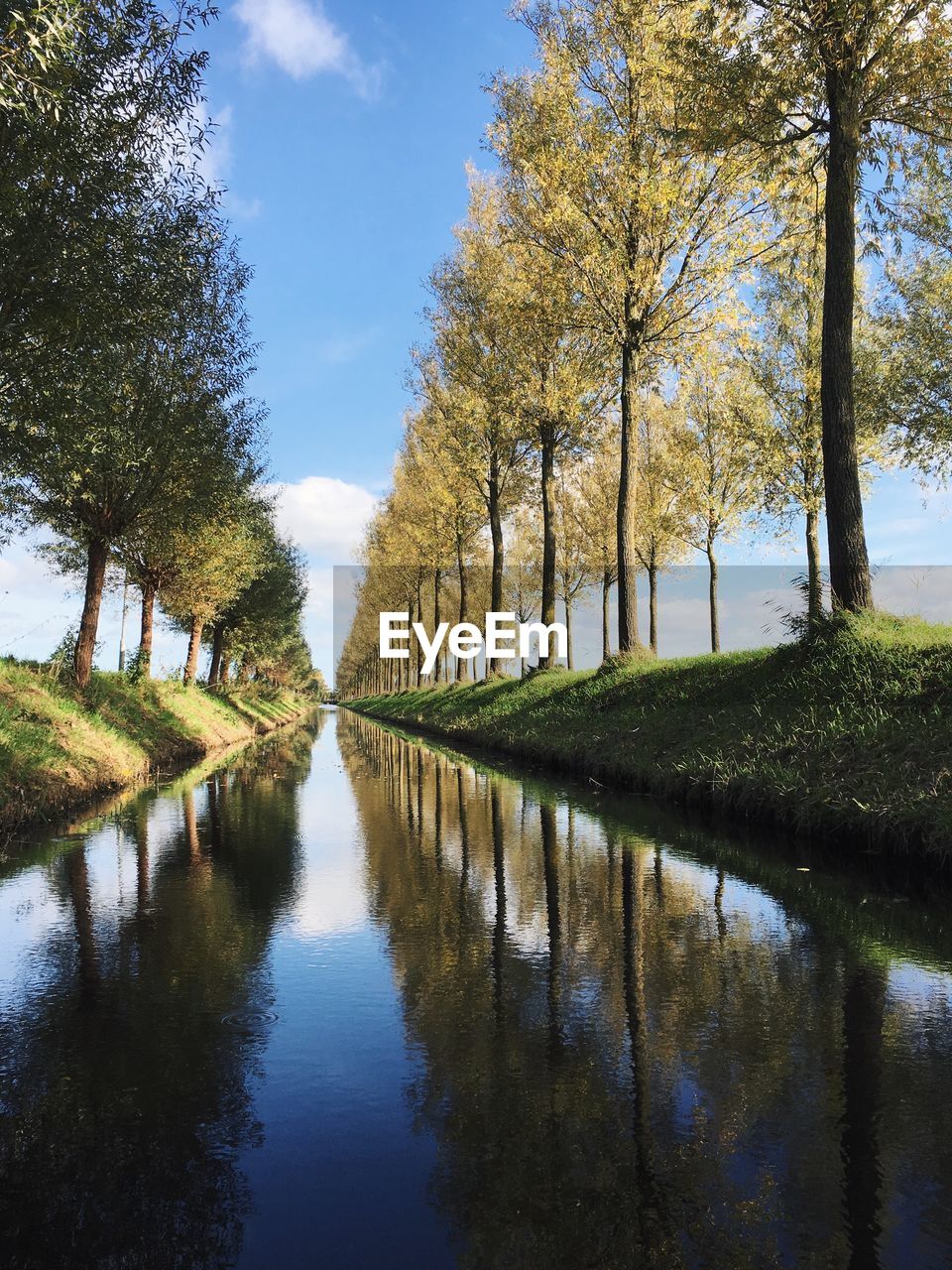 Canal amidst trees against sky