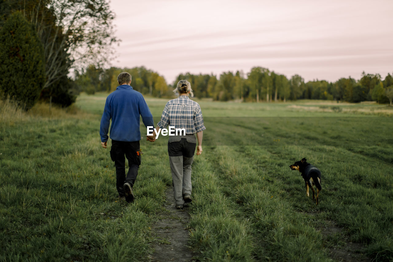 Mature couple holding hands and walking with dog on field during sunset