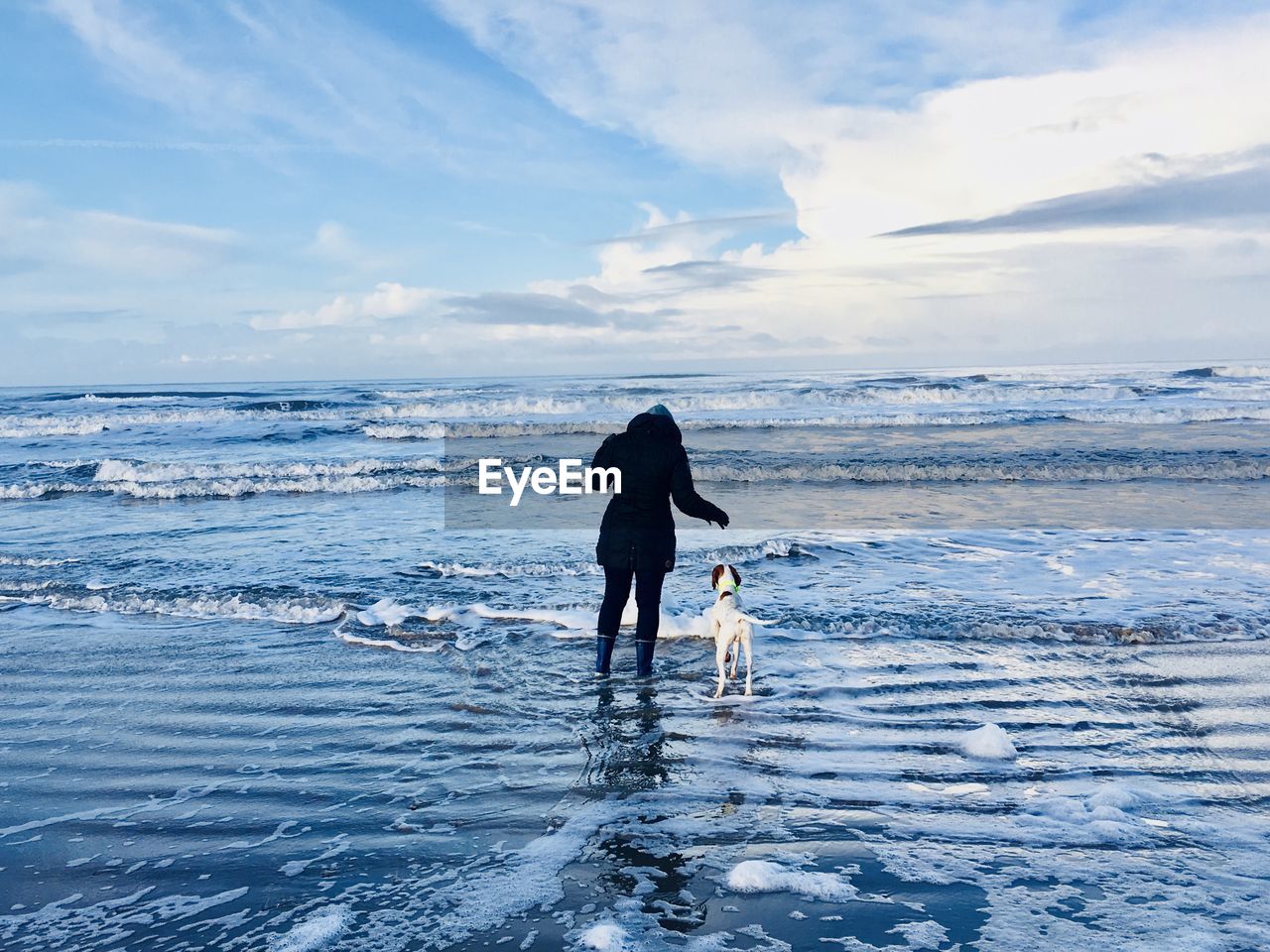 Woman with dog wading in frozen sea against sky