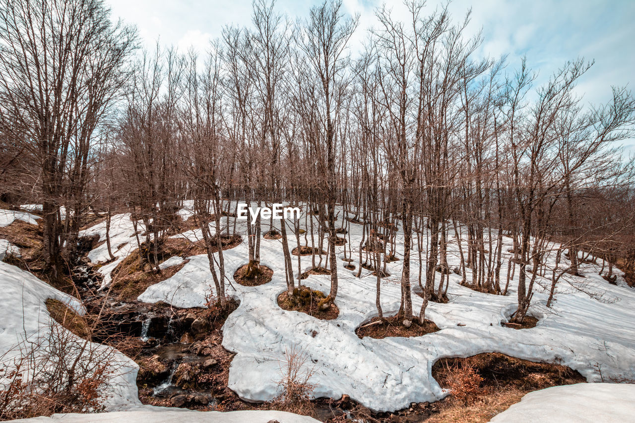 Bare trees on snow covered field against sky