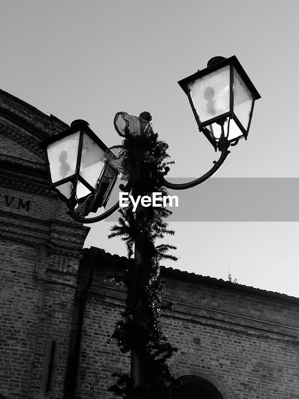 LOW ANGLE VIEW OF TREE AGAINST SKY