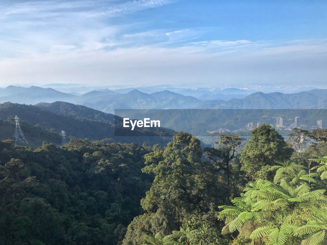 High angle view of trees on landscape against sky