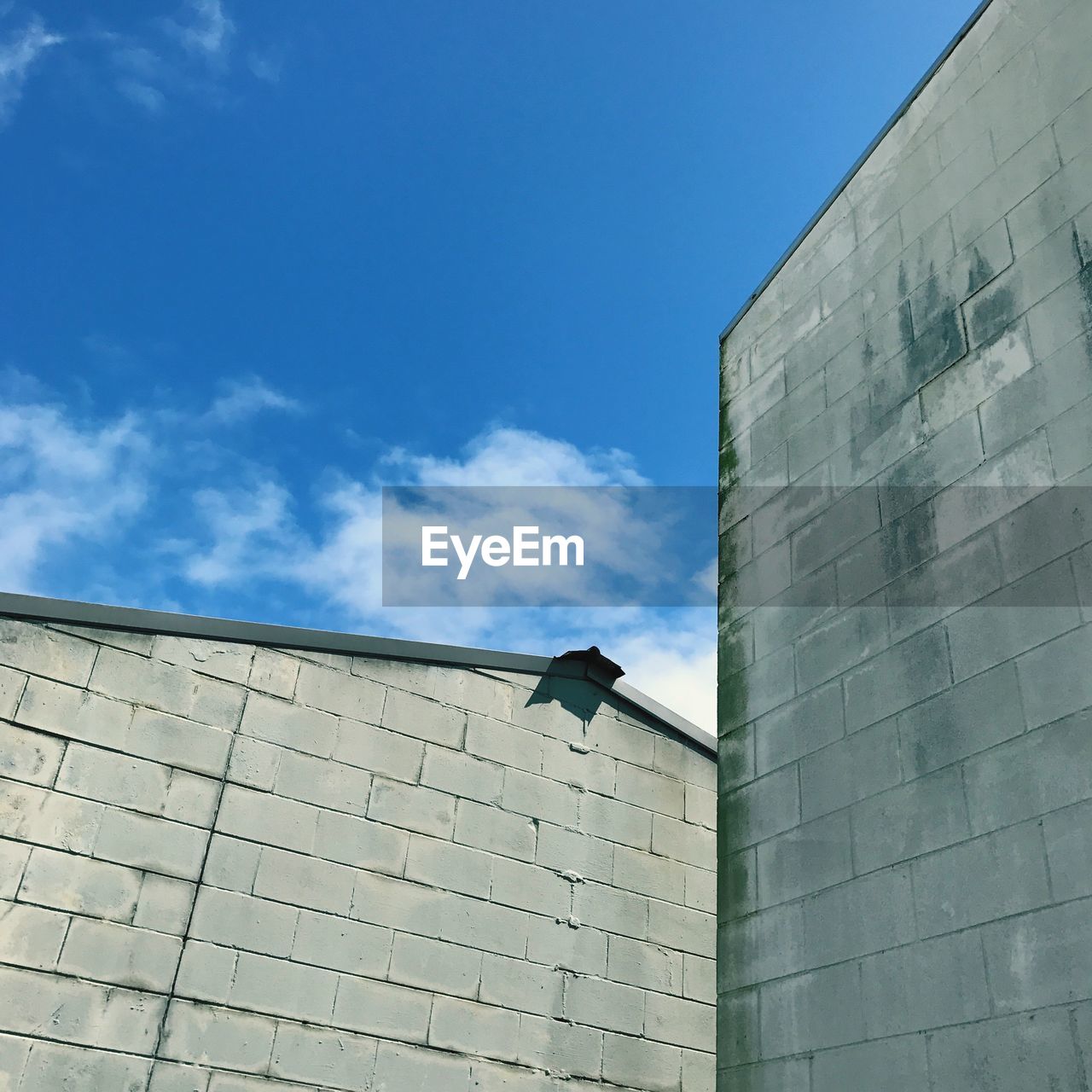 LOW ANGLE VIEW OF BIRD PERCHING ON ROOF