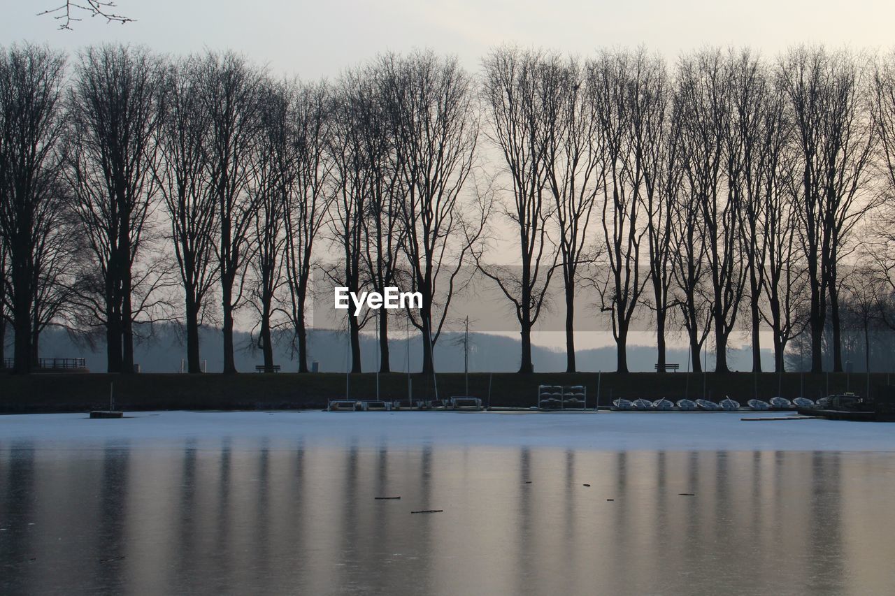 TREES BY LAKE AGAINST SKY
