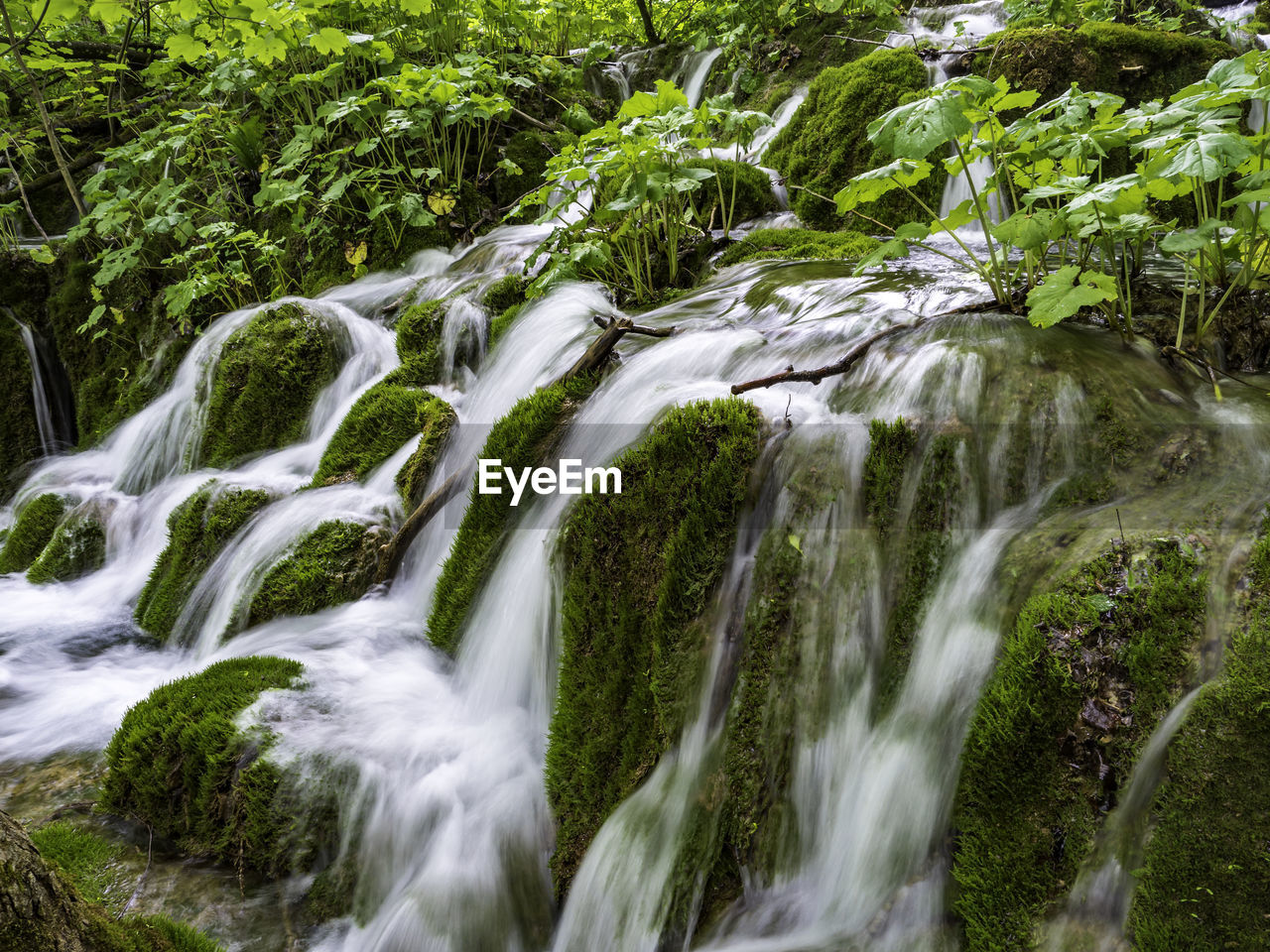 View of waterfall in forest