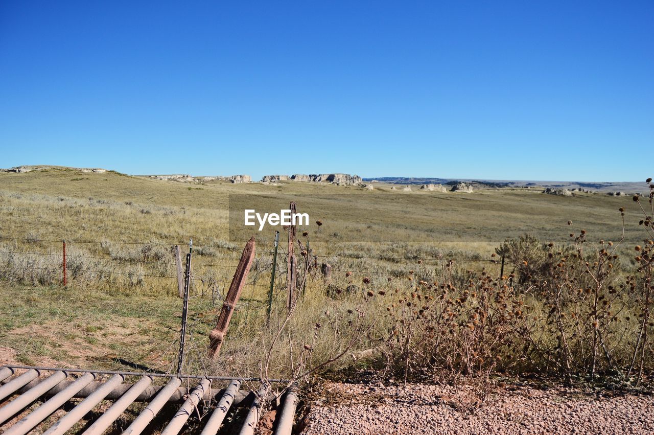 SCENIC VIEW OF FIELD AGAINST CLEAR SKY