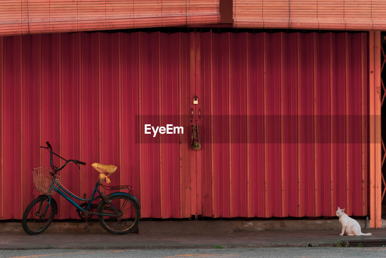 An old weathered bicycle and alone white cat in front of a red shutter closed shop.