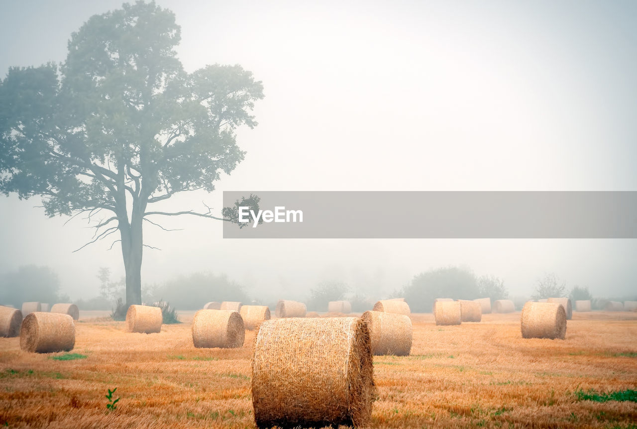 Hay bales on field against sky