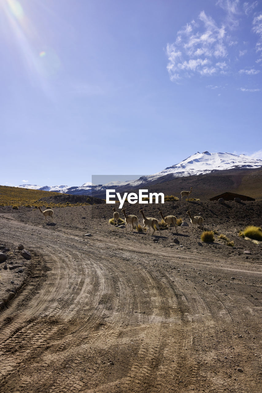 Scenic view of mountains against blue sky