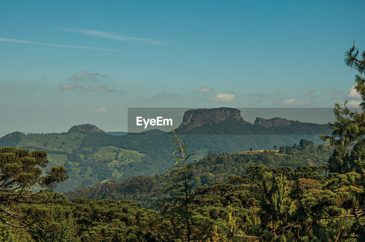 Panoramic view of forest and peak known as bau peak, near campos do jordao, brazil