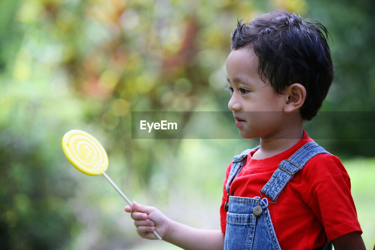 Close-up of boy holding lollipop in back yard