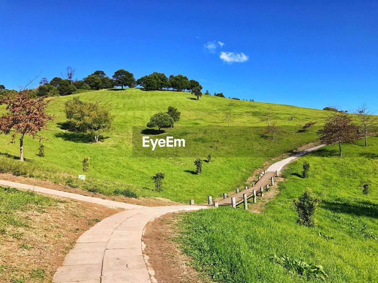 Road amidst green landscape against clear blue sky