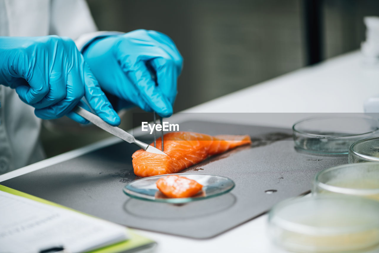 Food safety and quality testing salmon fish. laboratory technician taking salmon fish sample.