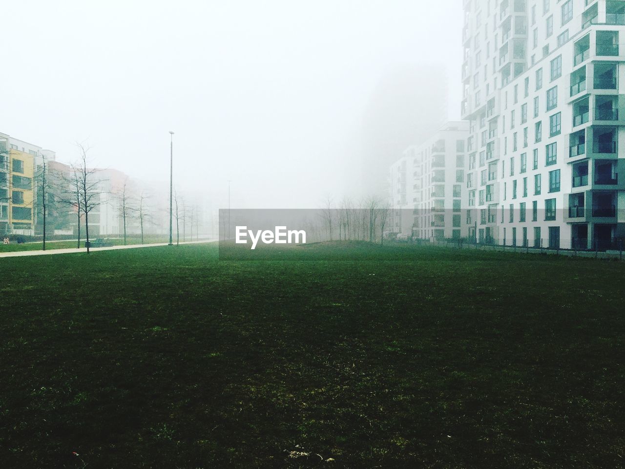 Scenic view of grassy field against cloudy sky