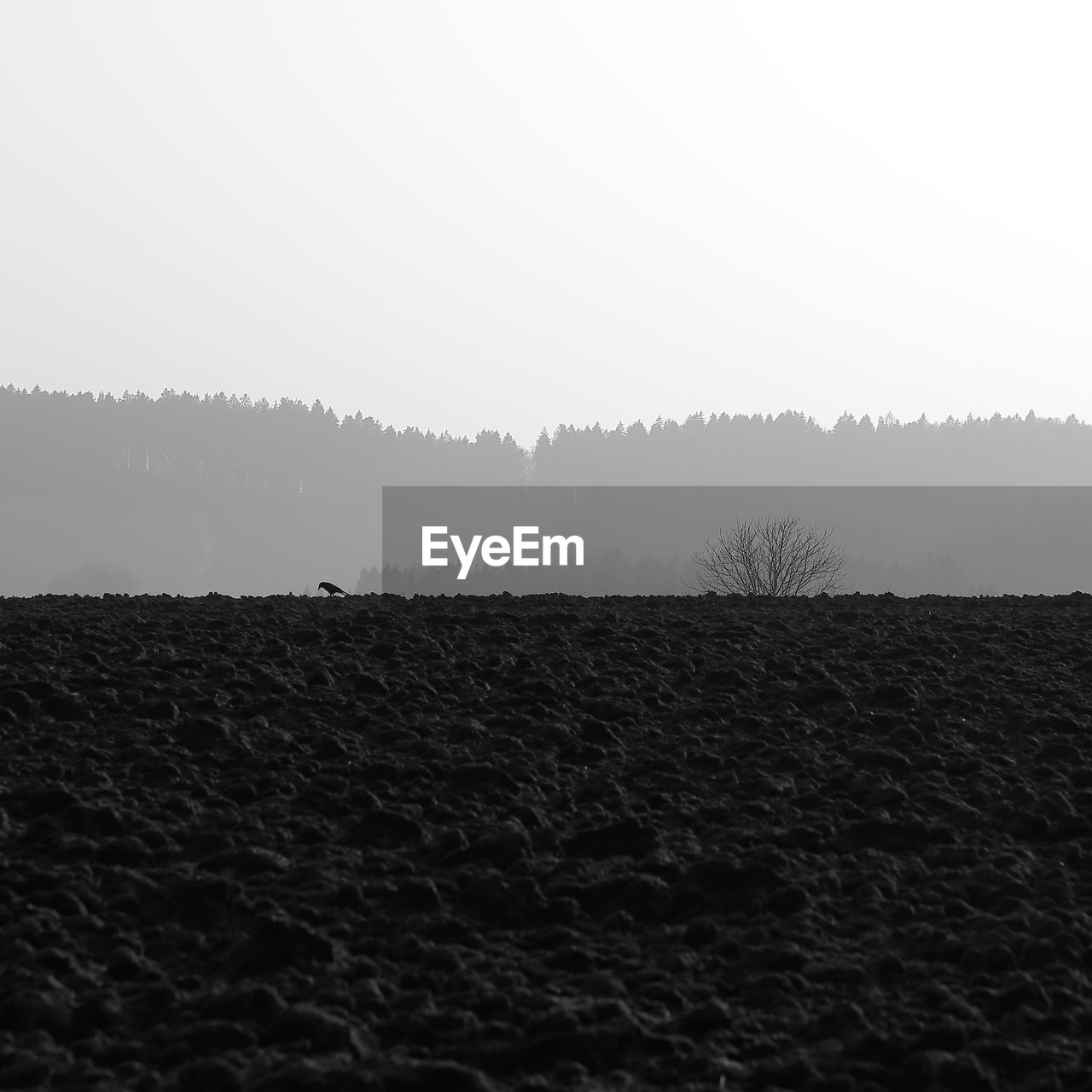 VIEW OF LANDSCAPE AGAINST CLEAR SKY