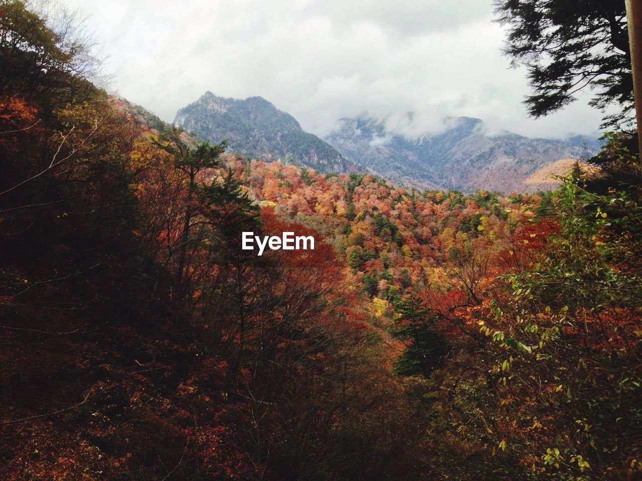 Scenic view of mountains against sky during autumn