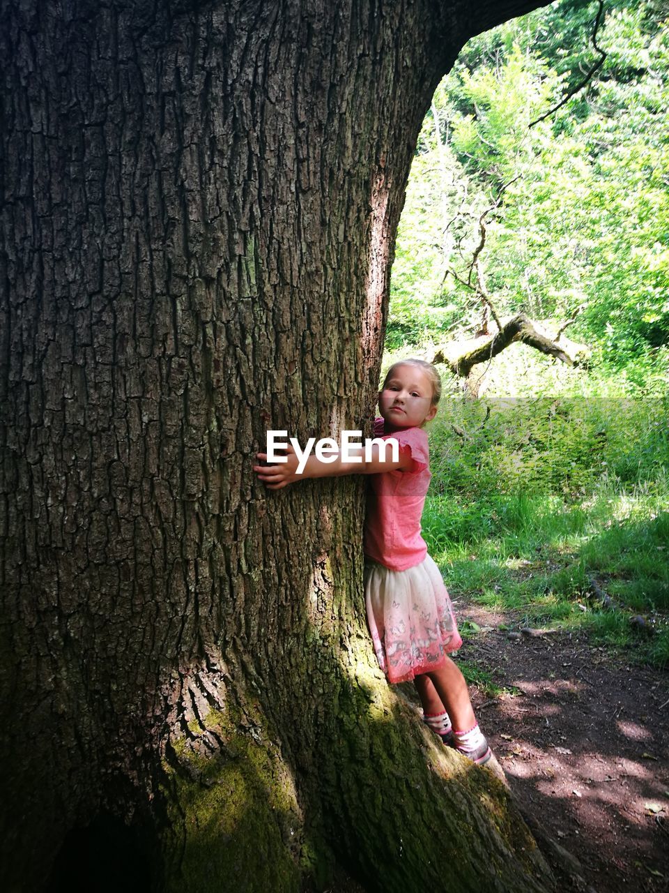 Portrait of cute girl embracing tree in forest