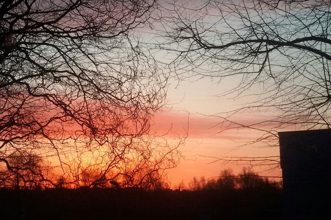 SILHOUETTE BARE TREES ON FIELD AGAINST SKY AT SUNSET