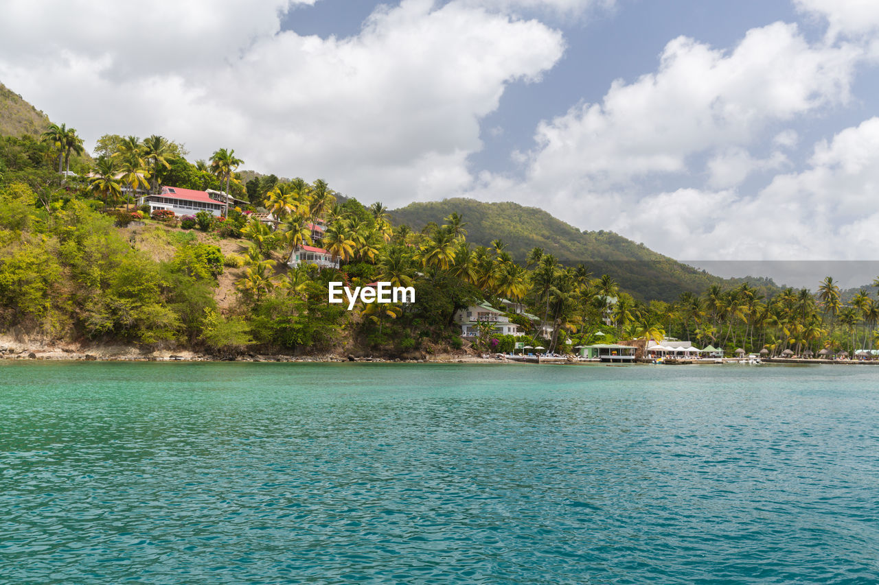 SCENIC VIEW OF SEA AGAINST TREES