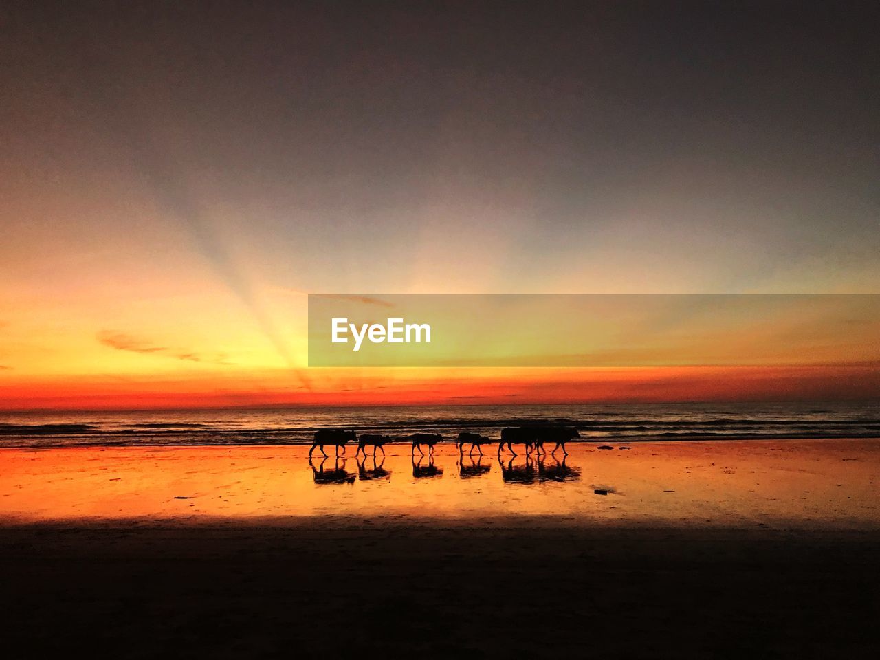 Scenic view of beach against sky during sunset