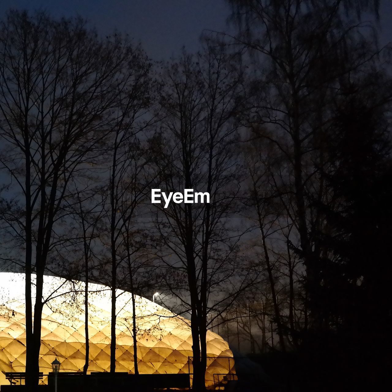 Silhouette trees by glowing tent against sky at night