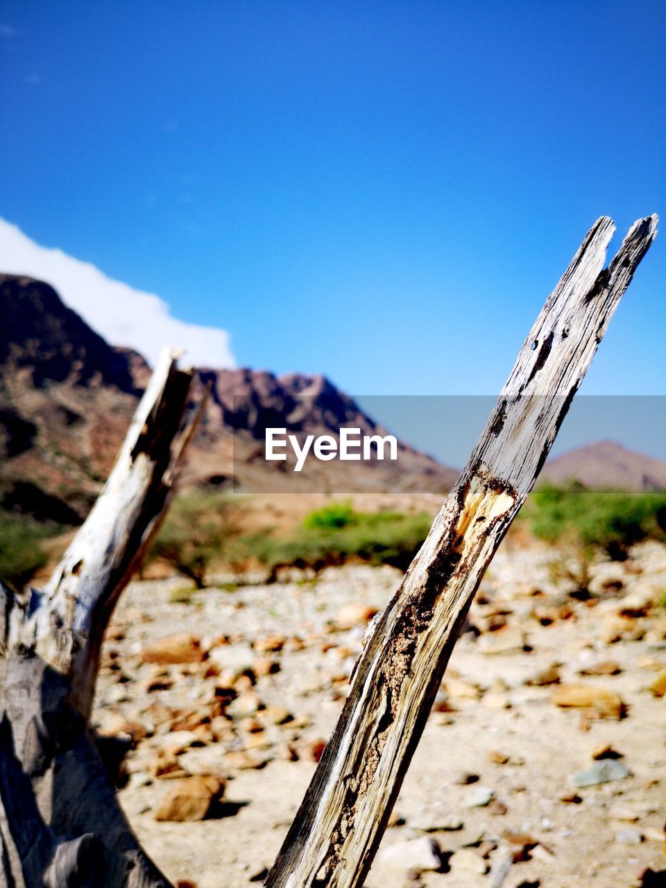 CLOSE-UP OF WOOD ON FIELD AGAINST SKY