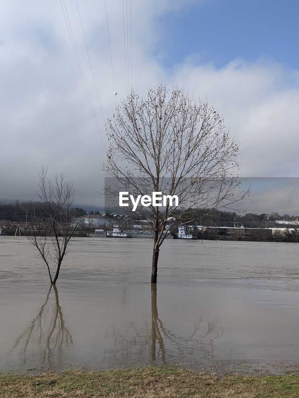 BARE TREES BY LAKE AGAINST SKY