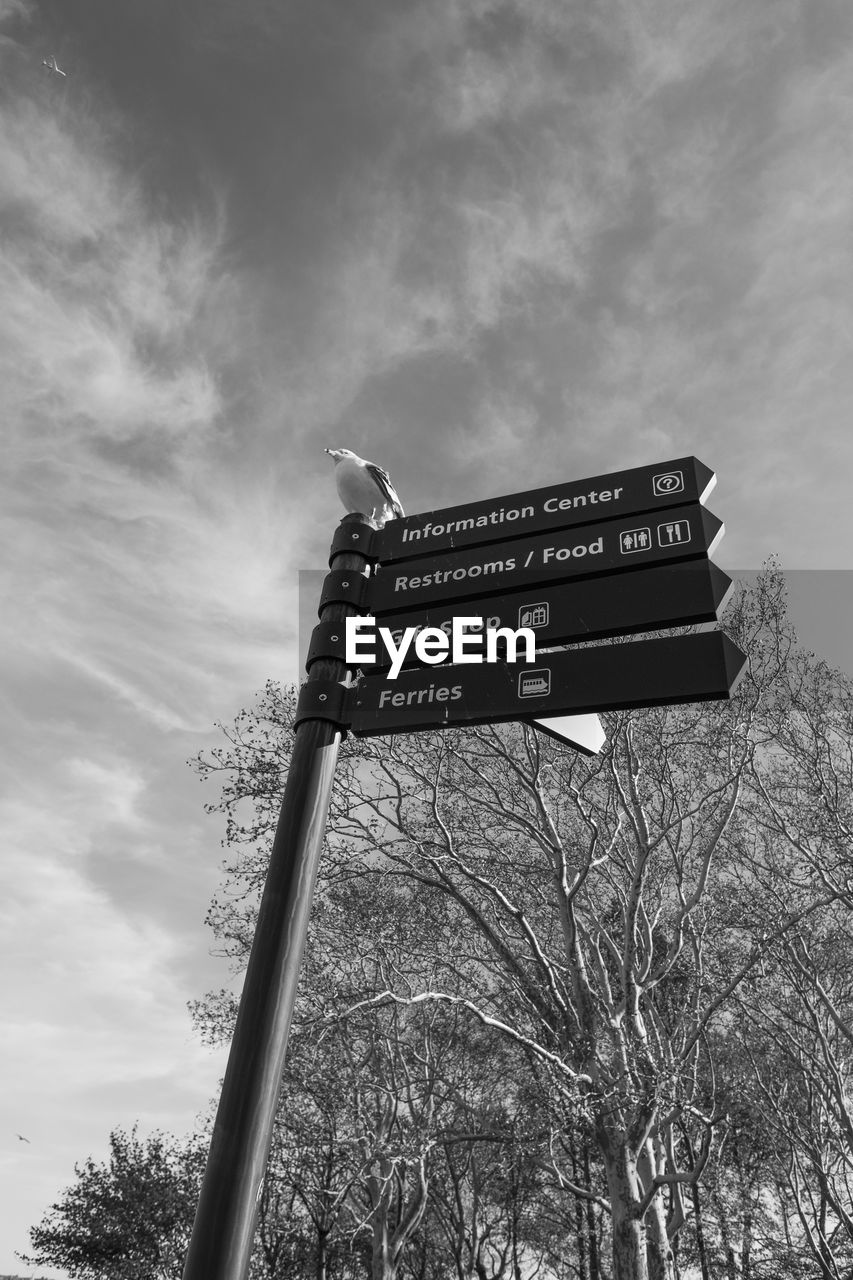 Low angle view of bird on road sign against sky