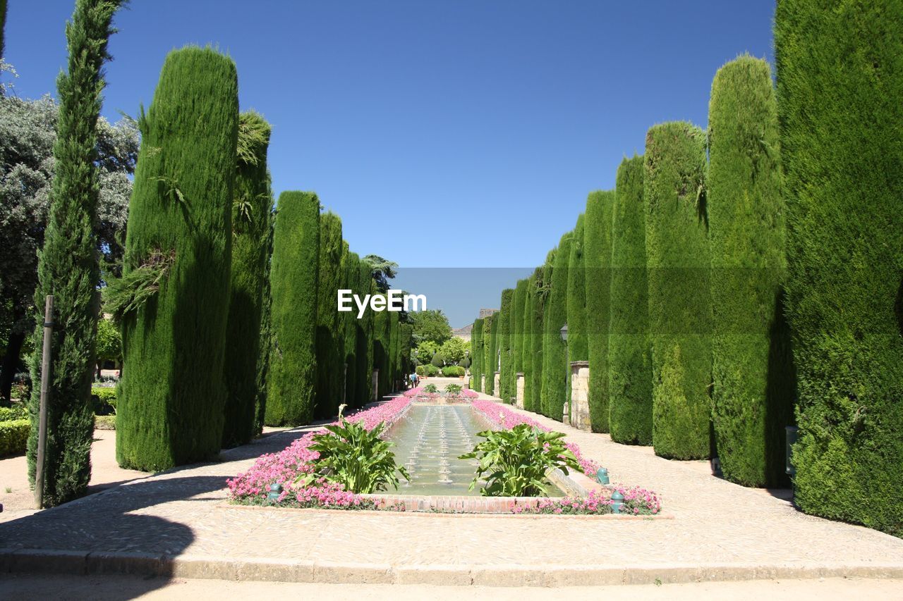 PANORAMIC VIEW OF PARK AGAINST SKY