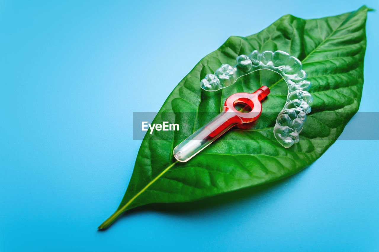 Juicy green leaf on which lies a plastic transparent bracket and a red interdental brush, dental and