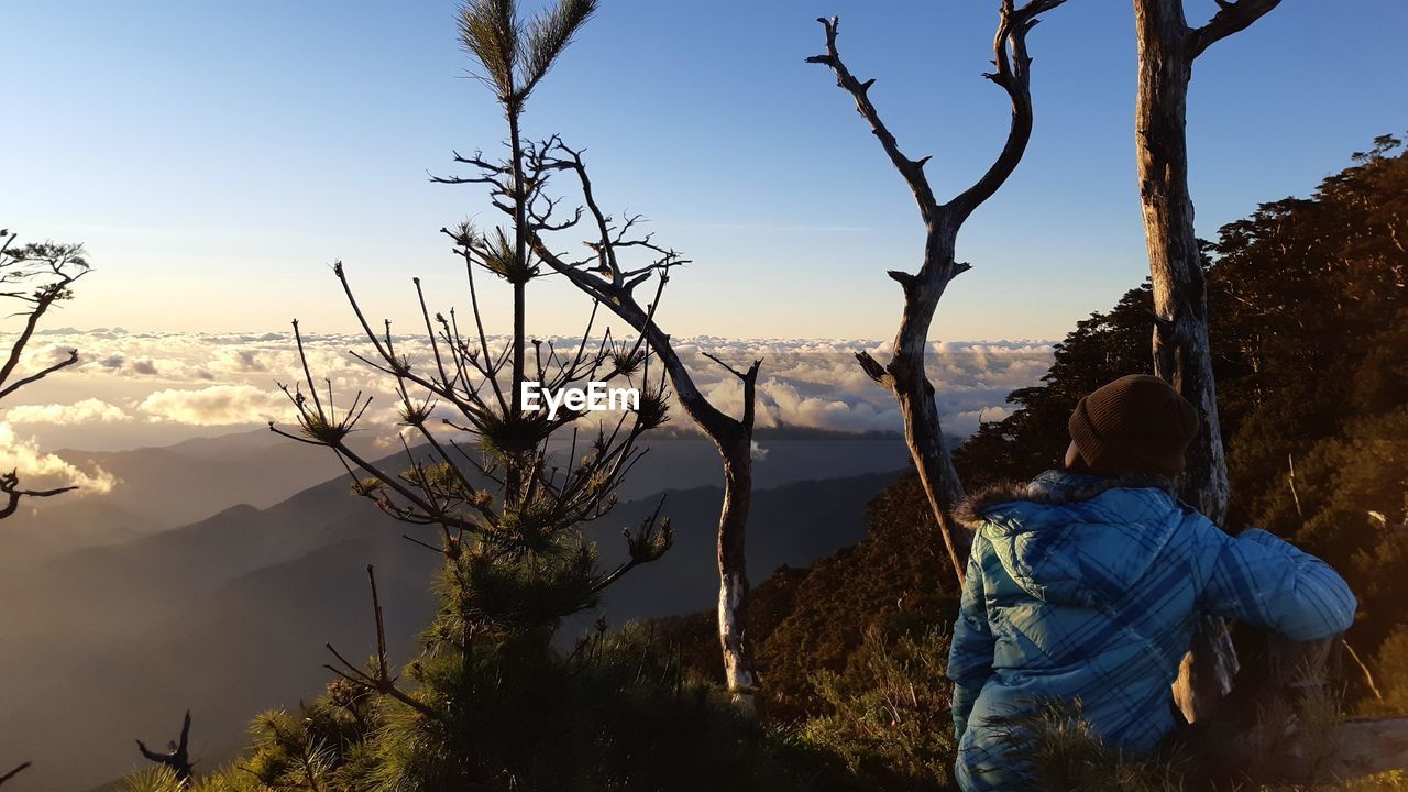 Rear view of woman standing by tree against sky