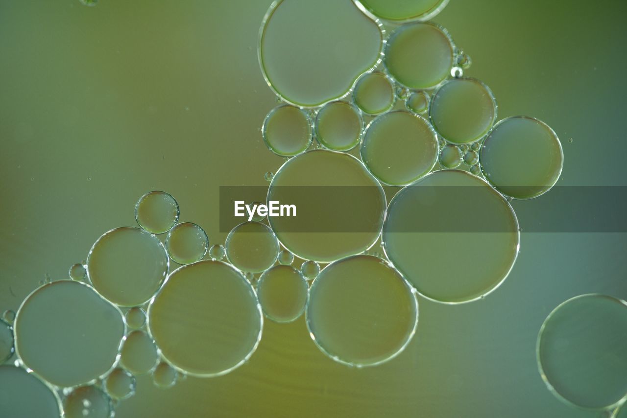 Close-up of bubbles in water